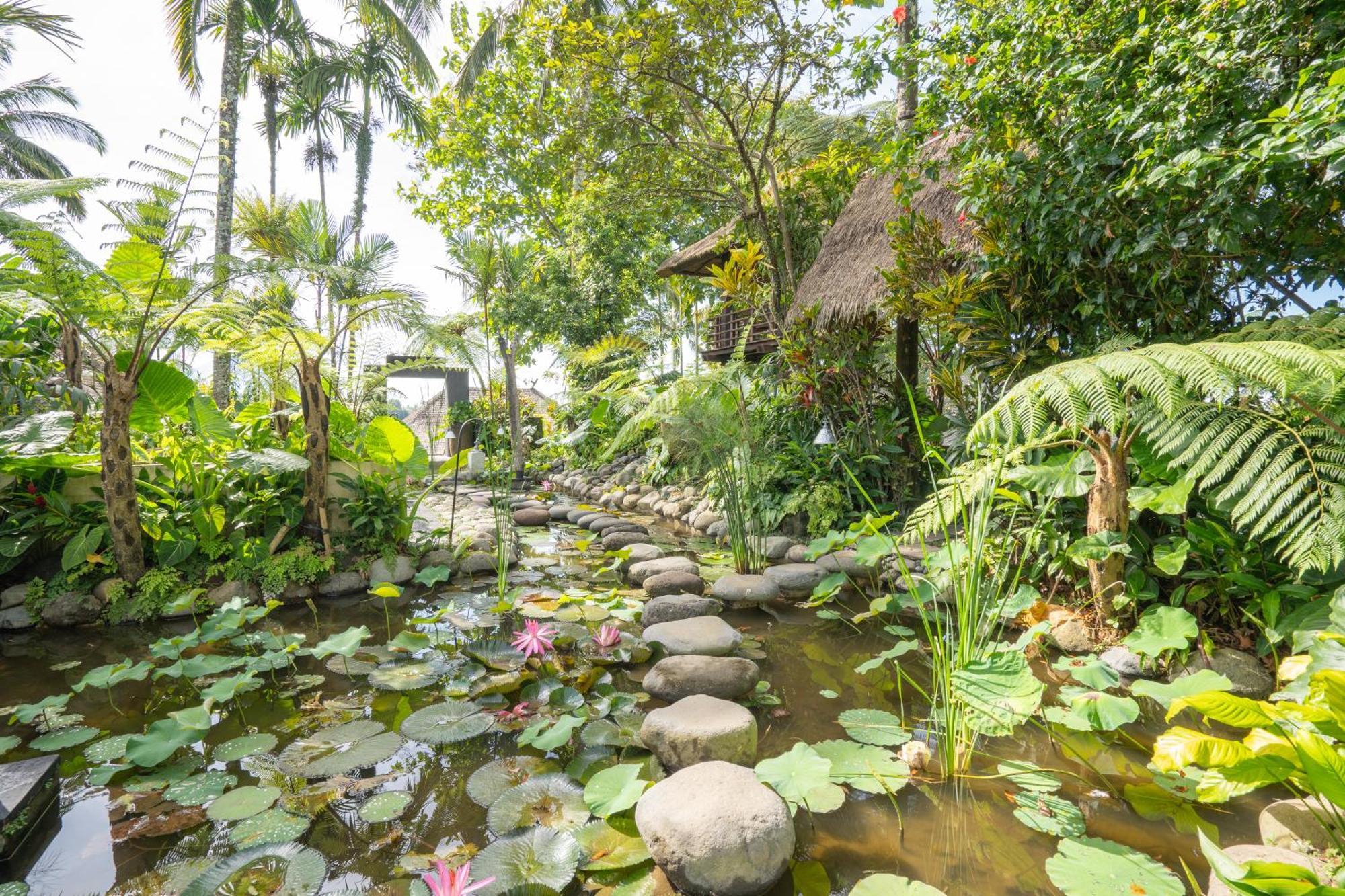 Awan Putih Resort Пайанган Екстериор снимка